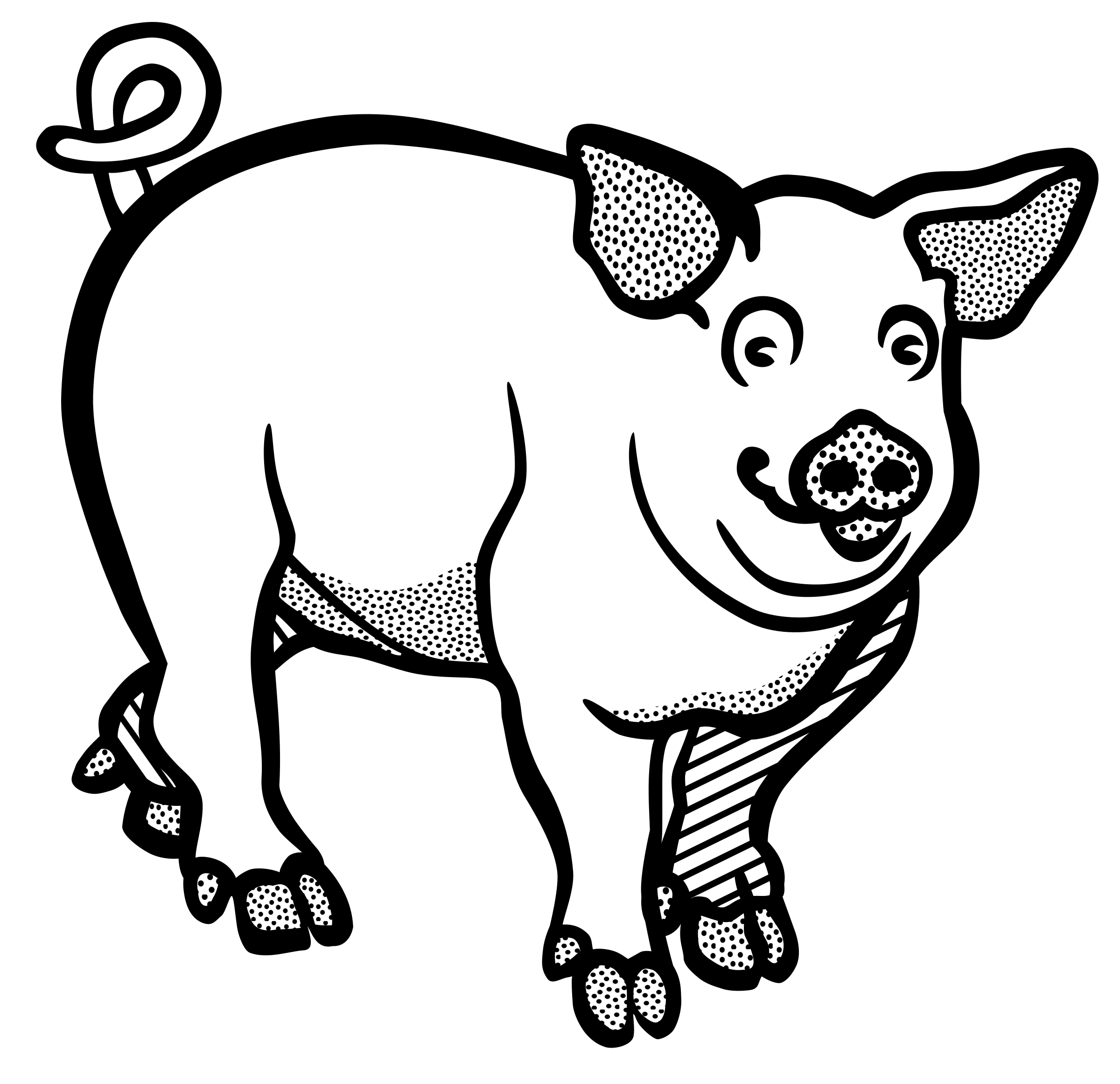 2400x2323 Pig Line Art Image Group - Pig Line Drawing