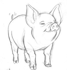 235x245 Line Drawings Of Pigs - Pig Line Drawing
