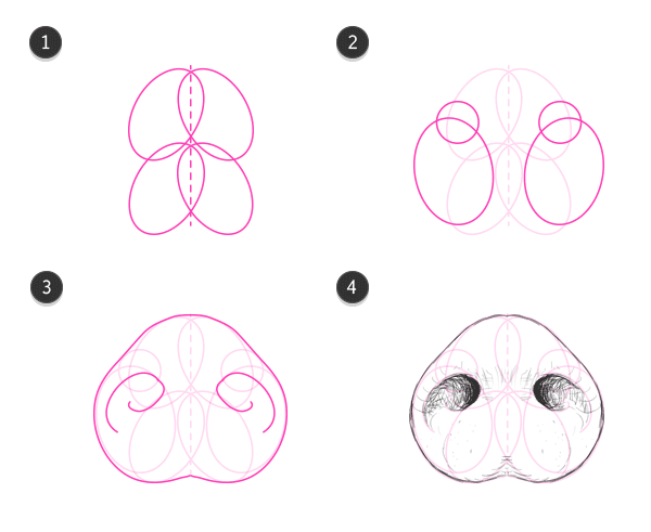 600x491 How To Draw Pig Snout Mampa In Pig Sketch, Wild Boar - Pig Nose Drawing