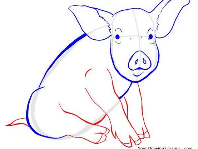 640x480 Drawn Pig Pig Snout - Pig Nose Drawing