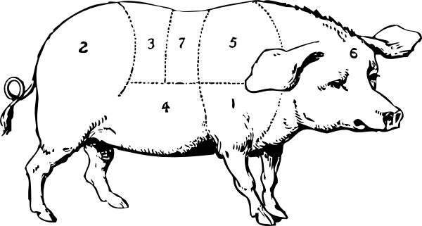 600x321 labeled pig drawing clip art - Pig Pictures Drawing