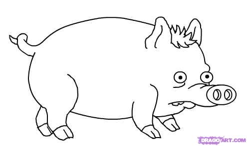 495x294 Pig Drawing - Pig Pictures Drawing
