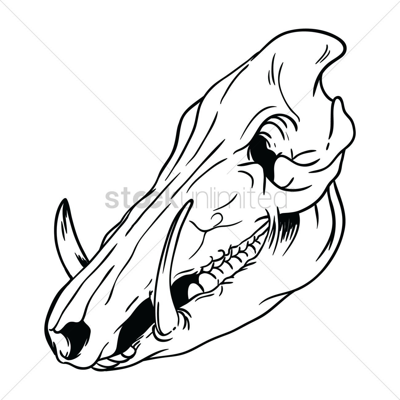 1300x1300 Free Pig Skull Vector Image - Pig Skull Drawing