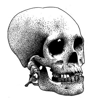 373x373 How To Draw A Skull Tutorials Drawn In Black - Pig Skull Drawing