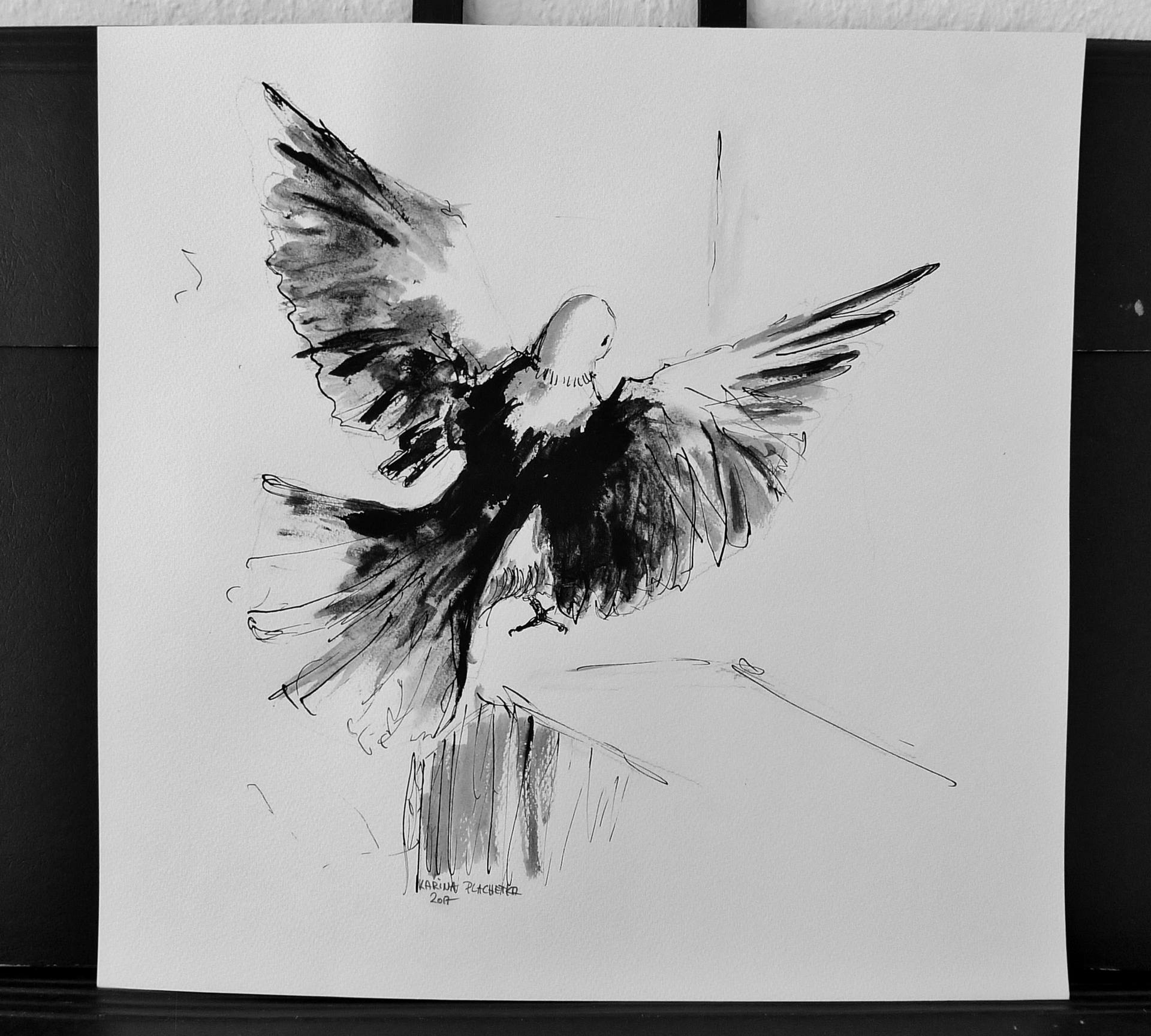 1920x1729 Landing Pigeon Drawing - Pigeon Drawing