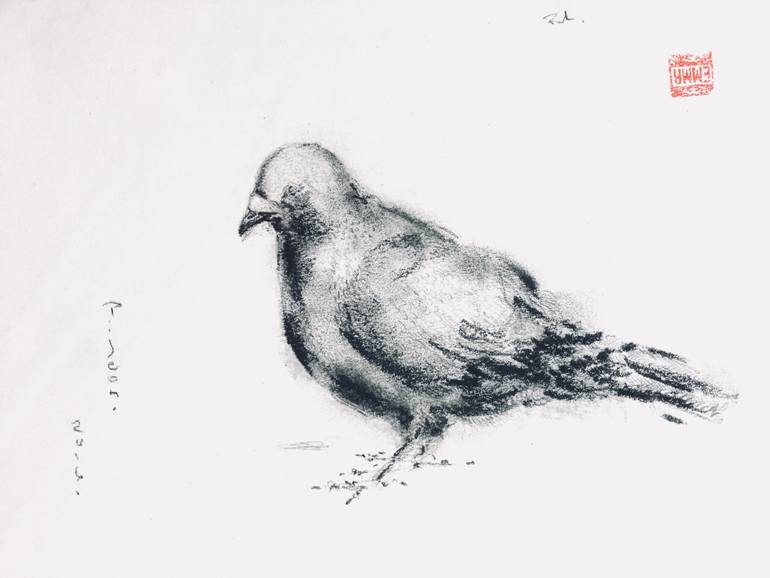 770x578 Pigeon Drawing - Pigeon Drawing