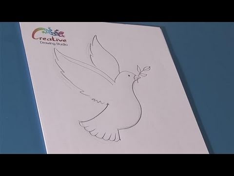 480x360 How To Learn To Draw A Dove - Pigeon Drawing Outline