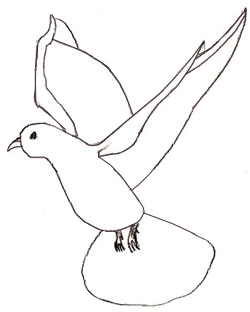 250x312 How To Draw A Dove - Pigeon Pencil Drawing