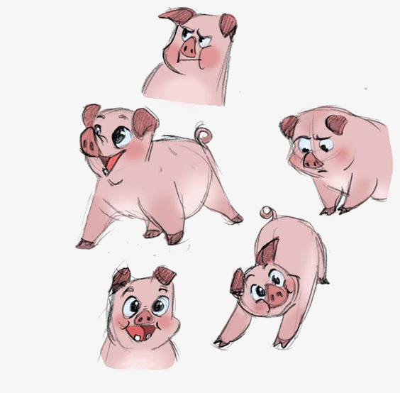 564x554 Drawing Piglet, Pink Pig, Cute Pig, Animal Png Image And Clipart - Piglet Drawing