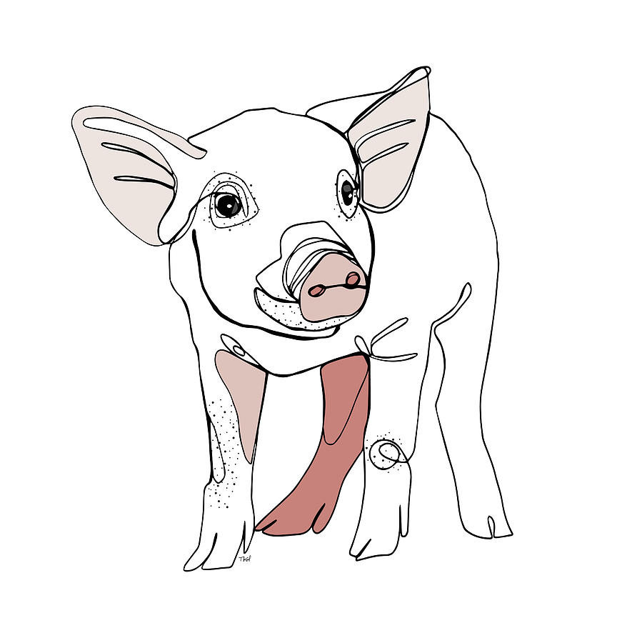 899x900 Line Piglet Drawing - Piglet Drawing