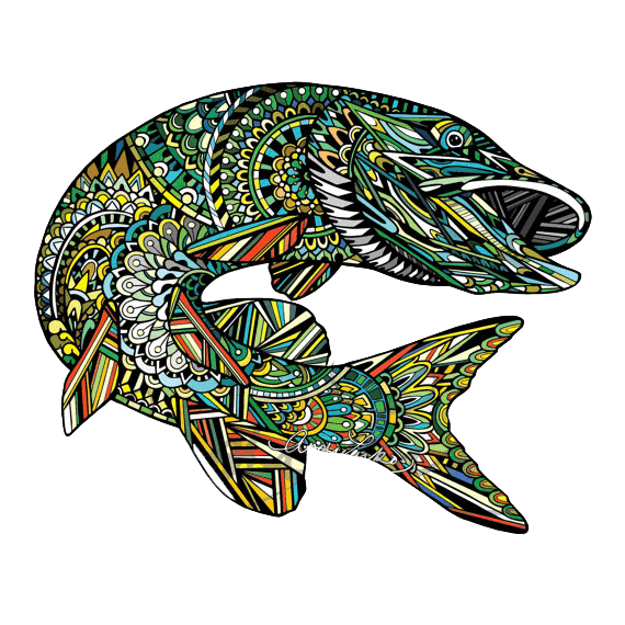 570x570 pike drawing transparent png clipart free download - Pike Fish Drawing