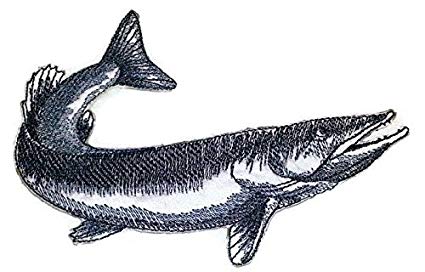 425x272 Nature's Bounty Beautiful Custom Fish Sketch - Pike Fish Drawing