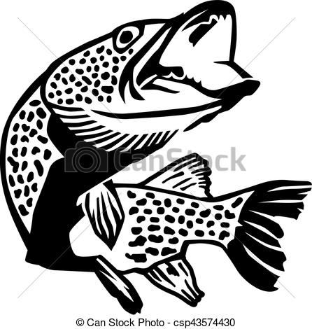 446x470 detailed pike fish - Pike Fish Drawing
