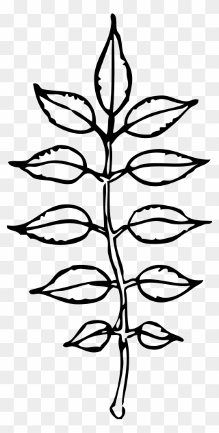 320x631 free png pile of leaves clip art download - Pile Of Leaves Drawing