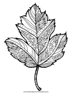 236x305 lovely pile of leaves coloring - Pile Of Leaves Drawing