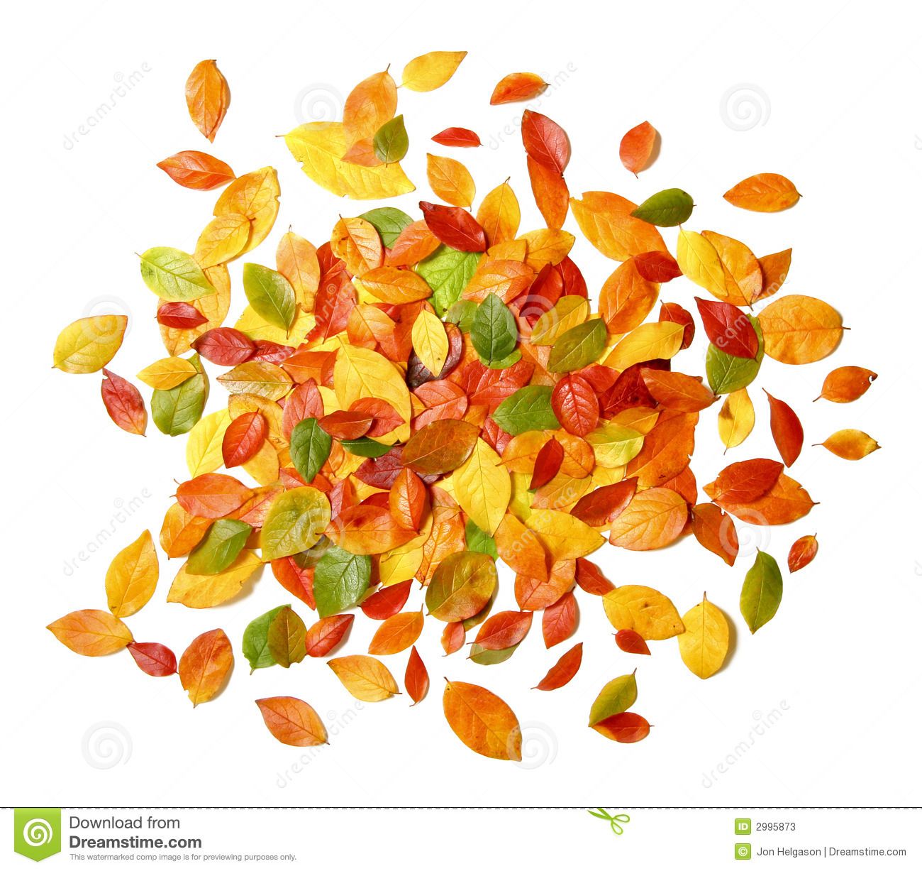 1300x1227 autumn leaves pile on white clipart drawingpainting inspiration - Pile Of Leaves Drawing
