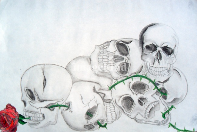 650x434 pile of skulls - Pile Of Skulls Drawing