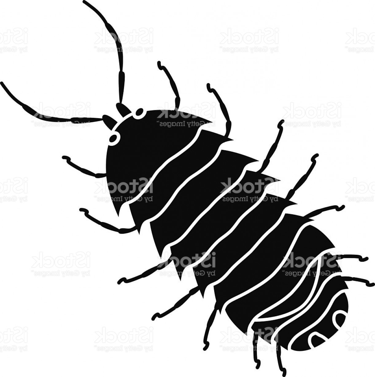 Pill Bug Drawing