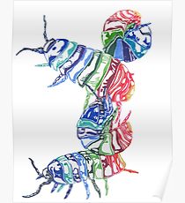 210x230 pill bug drawing posters redbubble - Pill Bug Drawing