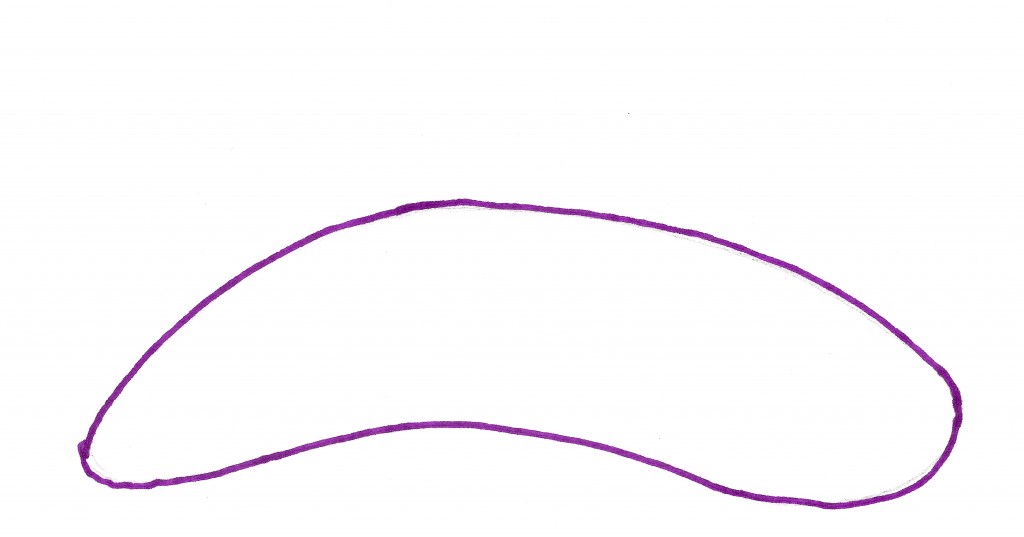 1024x537 How To Draw A Pillbug - Pill Bug Drawing