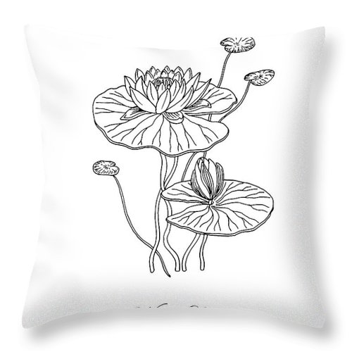 500x500 water lily flower botanical drawing throw pillow for sale - Pillow Drawing
