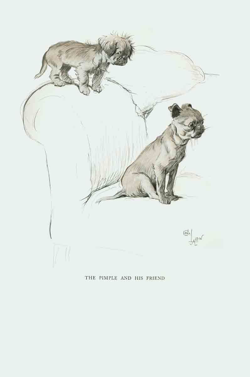 797x1200 the pimple and his friend from the drawing - Pimple Drawing