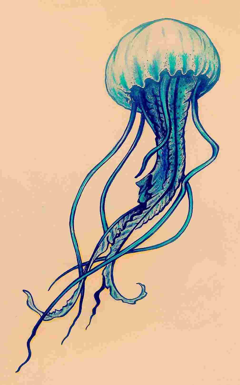 1009x1618 Jellyfish Drawing Randoms Rhcom Tayler - Pin Drawing