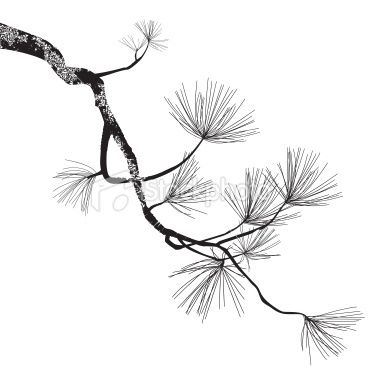 380x380 Pine Tree Branch Drawing Art In Branch Drawing, Tree Art - Pine Branch Drawing