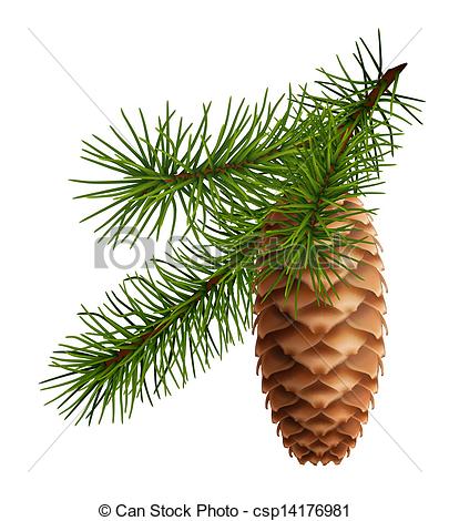 405x470 Pine Cone With Branch - Pine Branch Drawing