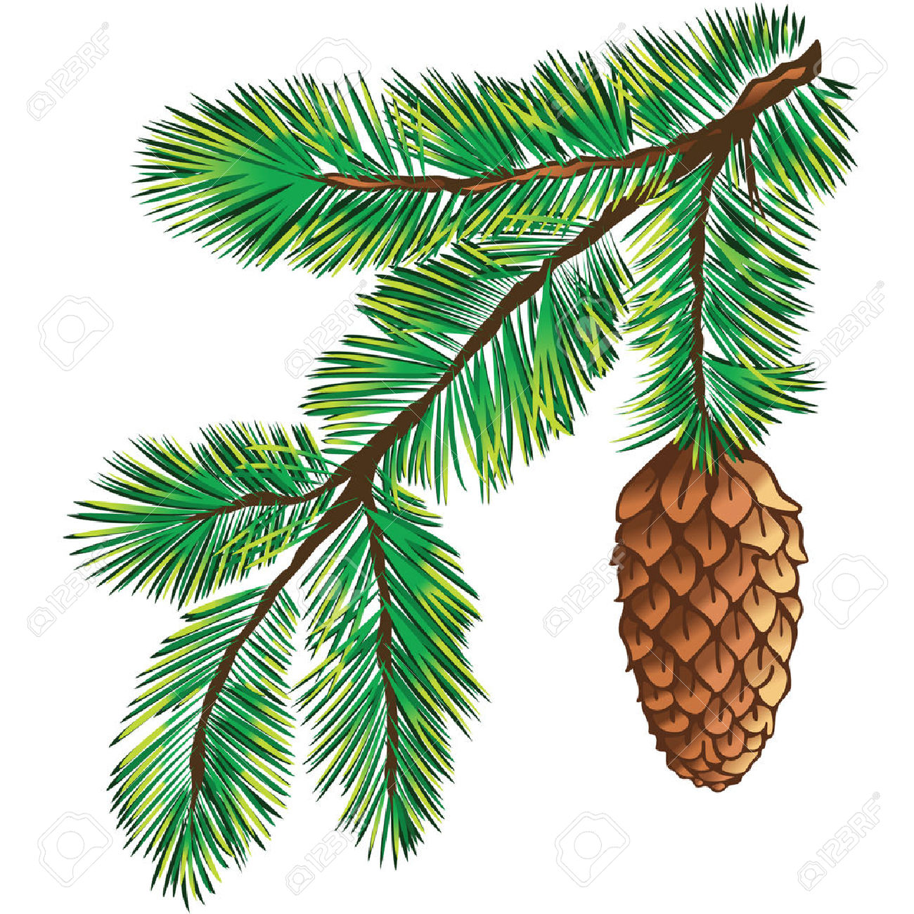 1300x1300 Pine Tree Needles Clipart - Pine Branch Drawing