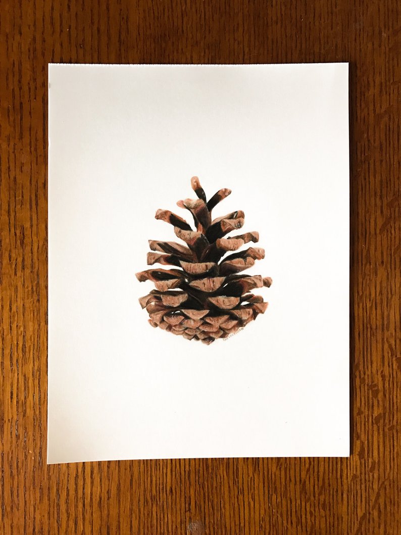 794x1059 original pine cone drawing etsy - Pine Cone Drawing