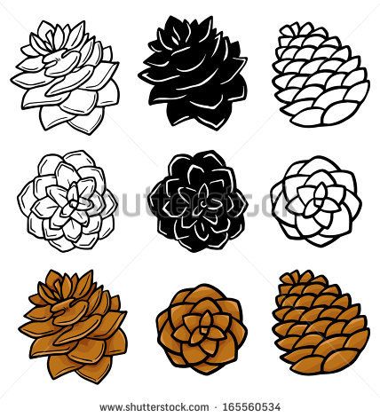 428x470 pine cone - Pine Cone Drawing