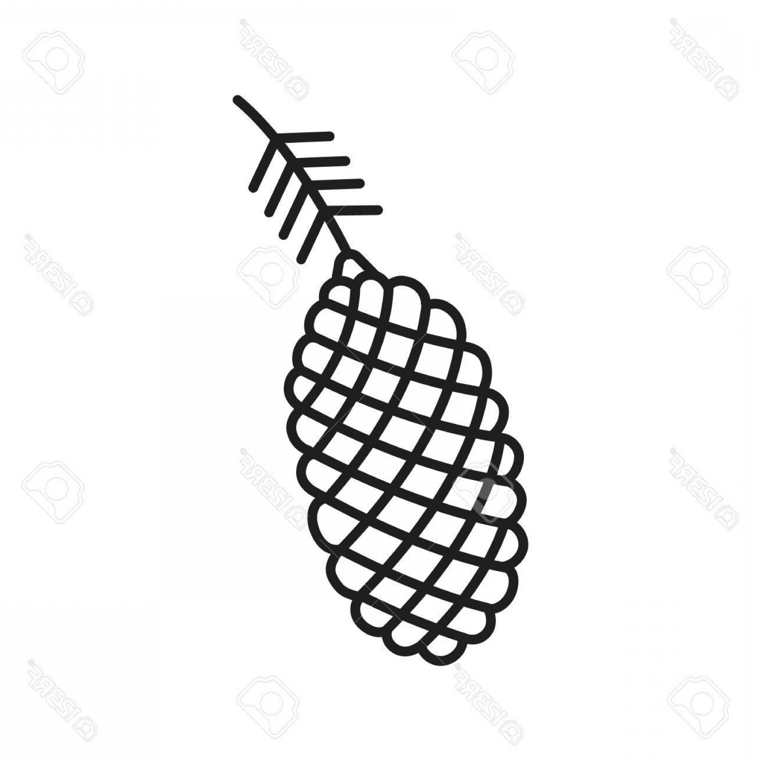 1560x1560 cone outline vector arenawp - Pine Cone Line Drawing