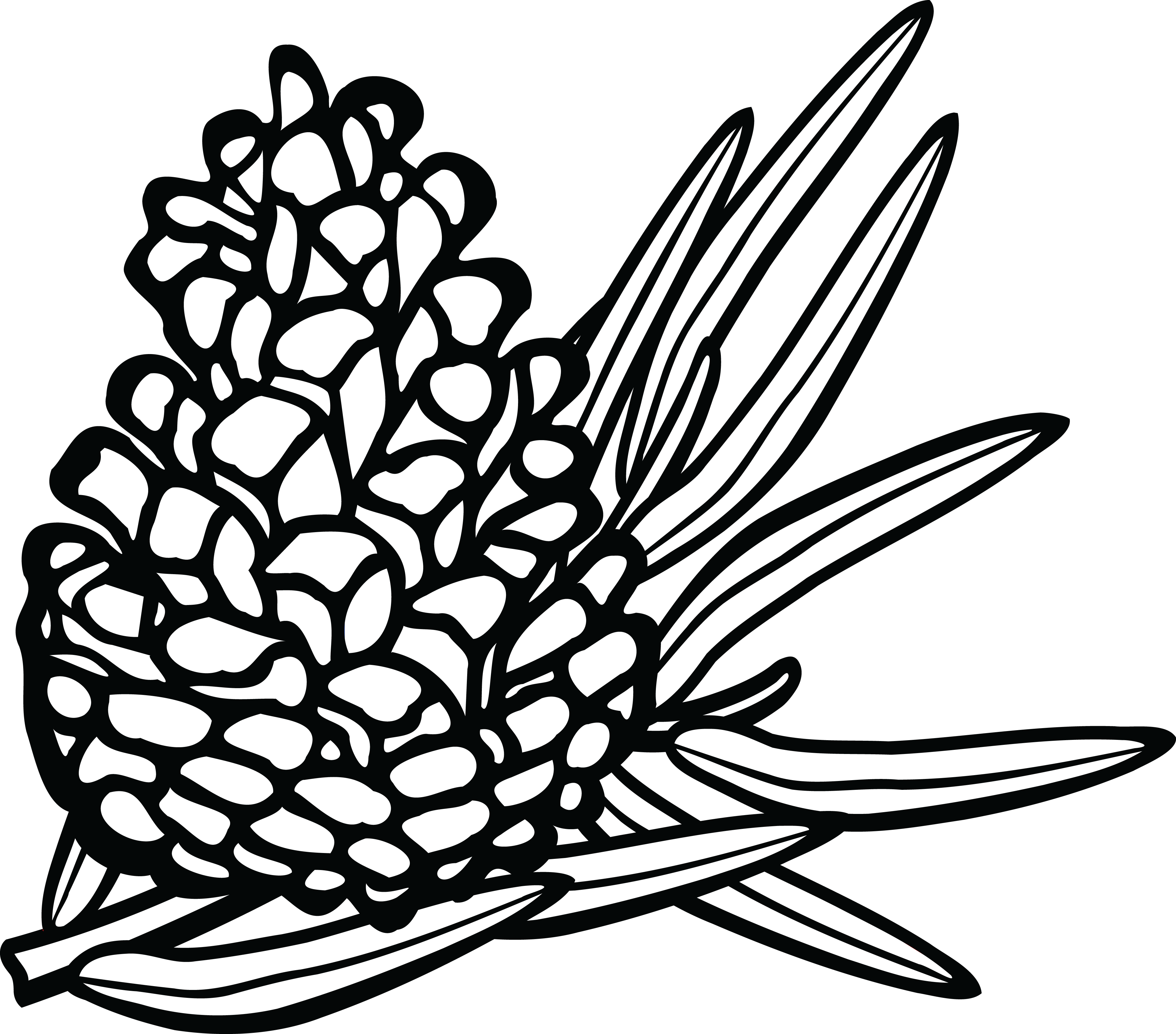 4000x3519 pinecone graphic stock black and white huge freebie! download - Pine Cone Line Drawing