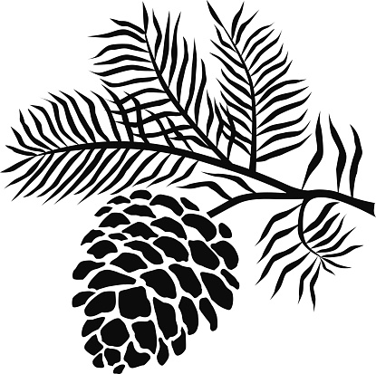 415x413 pine cone clip art - Pine Cone Line Drawing