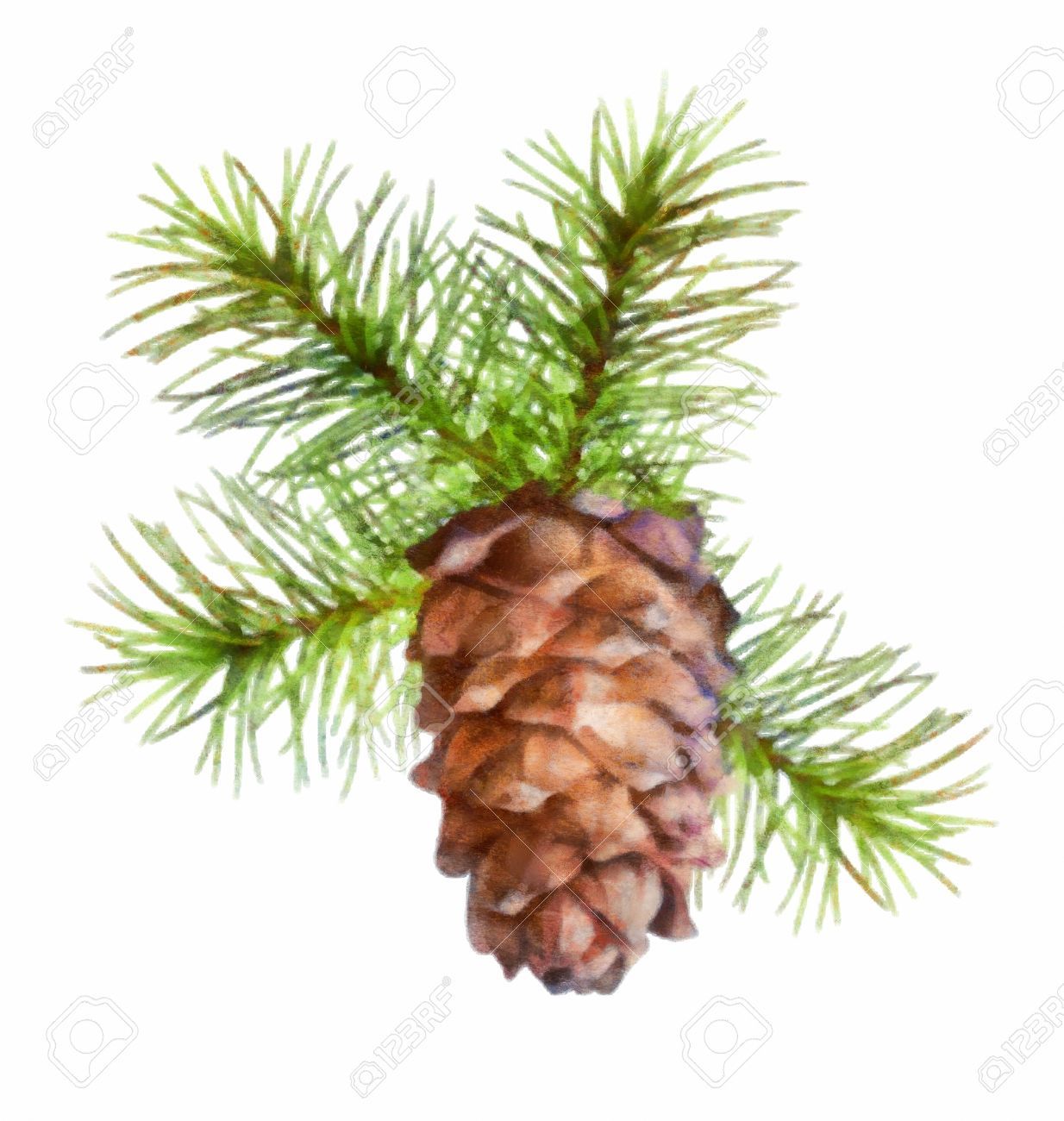 1234x1300 christmas pine cone line drawing pictures and ideas on meta - Pine Cone Line Drawing