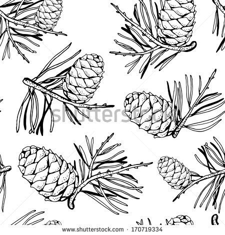 450x470 line drawing pine cone branches - Pine Cone Line Drawing