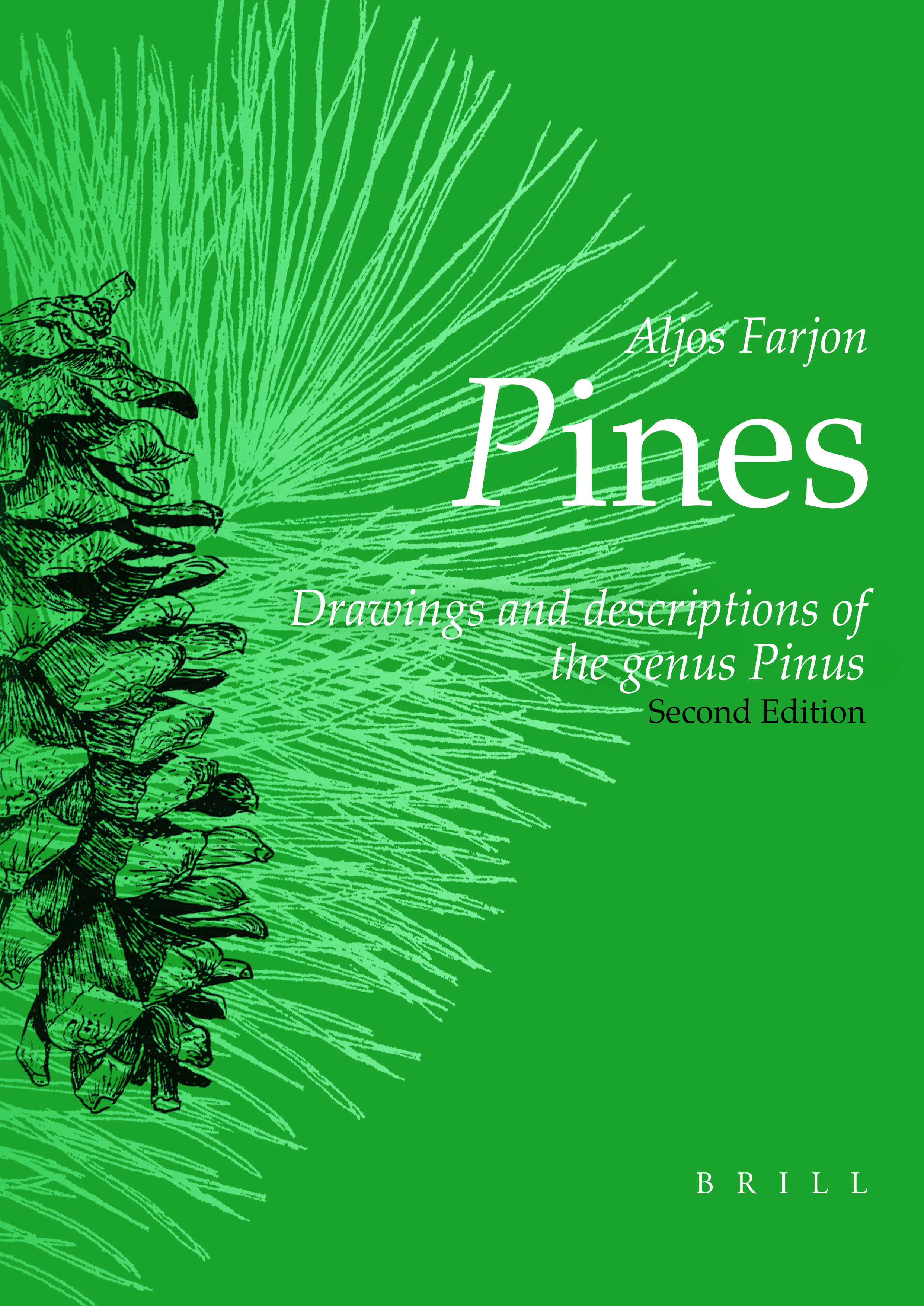2483x3510 Pines, Revised Edition - Pine Drawings