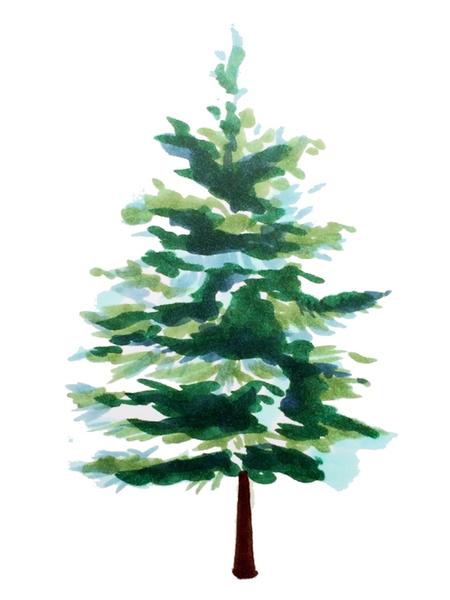 450x600 How To Draw Trees With Copic Markers - Pine Tree Drawing