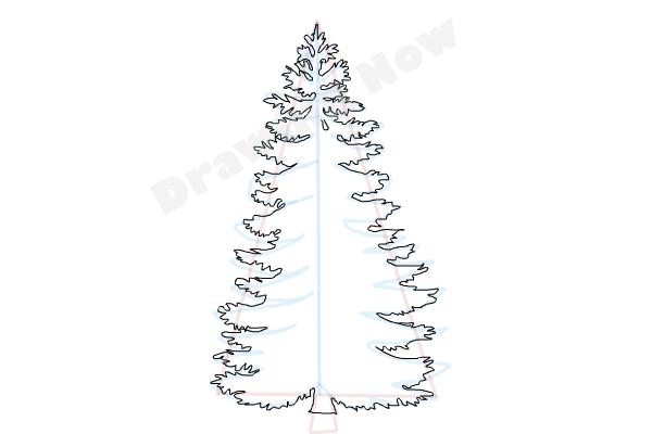 600x400 how to draw a pine tree - Pine Tree Drawing