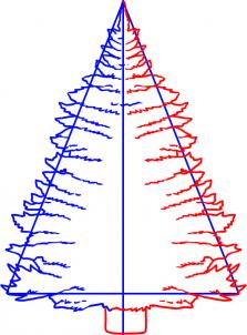 223x302 how to draw how to draw a pine tree - Pine Tree Drawing