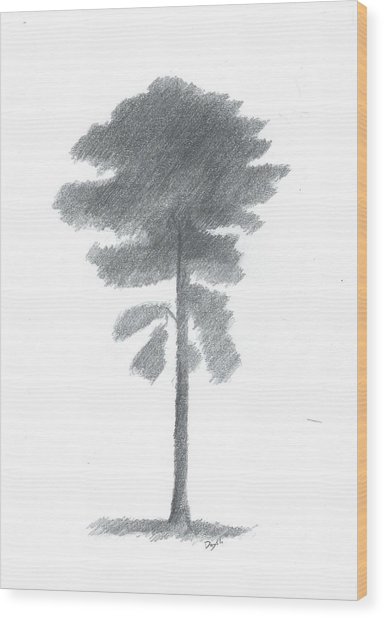 384x618 pine tree drawing number four painting - Pine Tree Drawing