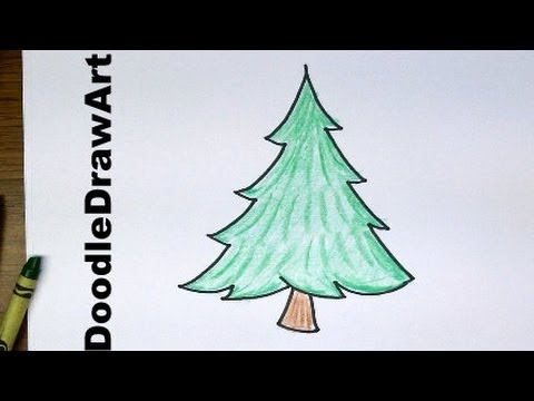 480x360 Drawing How To Draw Cartoon Pine Trees - Pine Tree Drawing