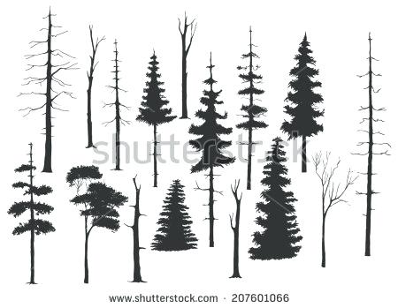 450x349 how to draw a pine tree how to draw a tree tutorial how to draw - Pine Tree Drawing Tutorial