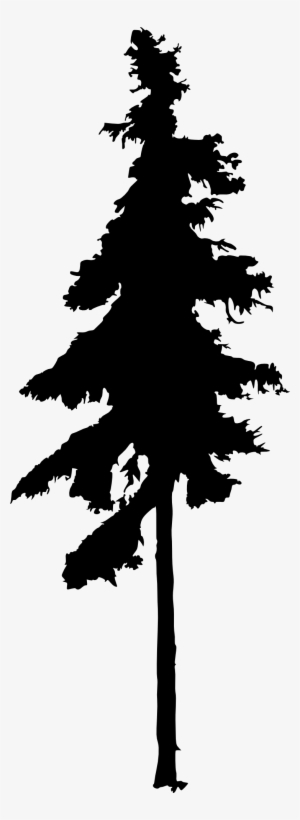 300x820 pine tree png download transparent pine tree png images for free - Pine Tree Line Drawing
