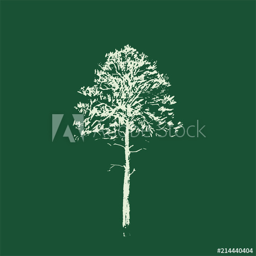 500x500 Pine Tree Line Drawing Isolated On Green Background Hand Drawn - Pine Tree Line Drawing