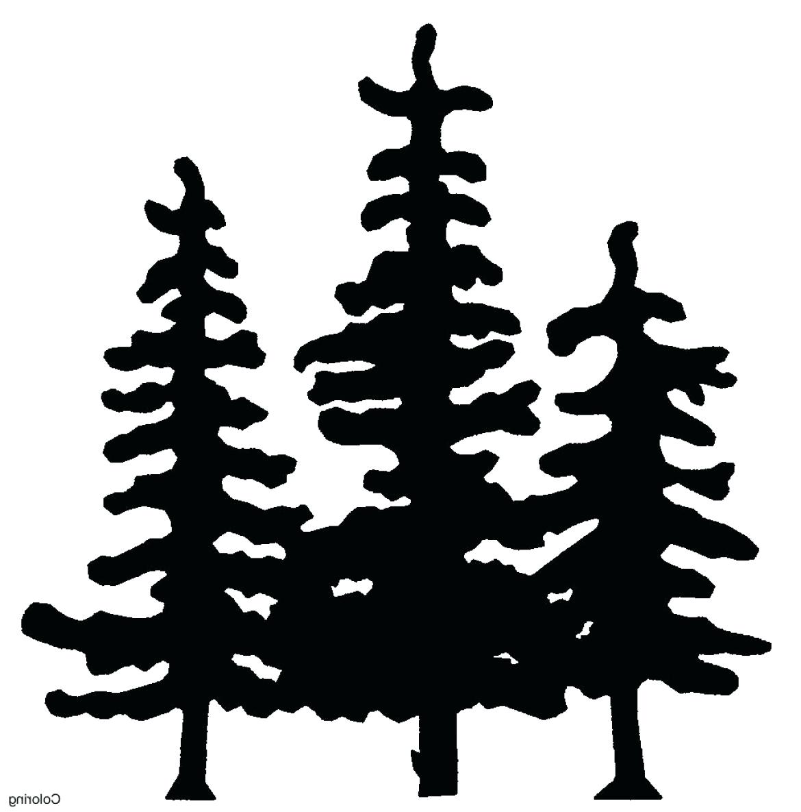 Pine Tree Line Drawing at PaintingValley.com | Explore collection of ...