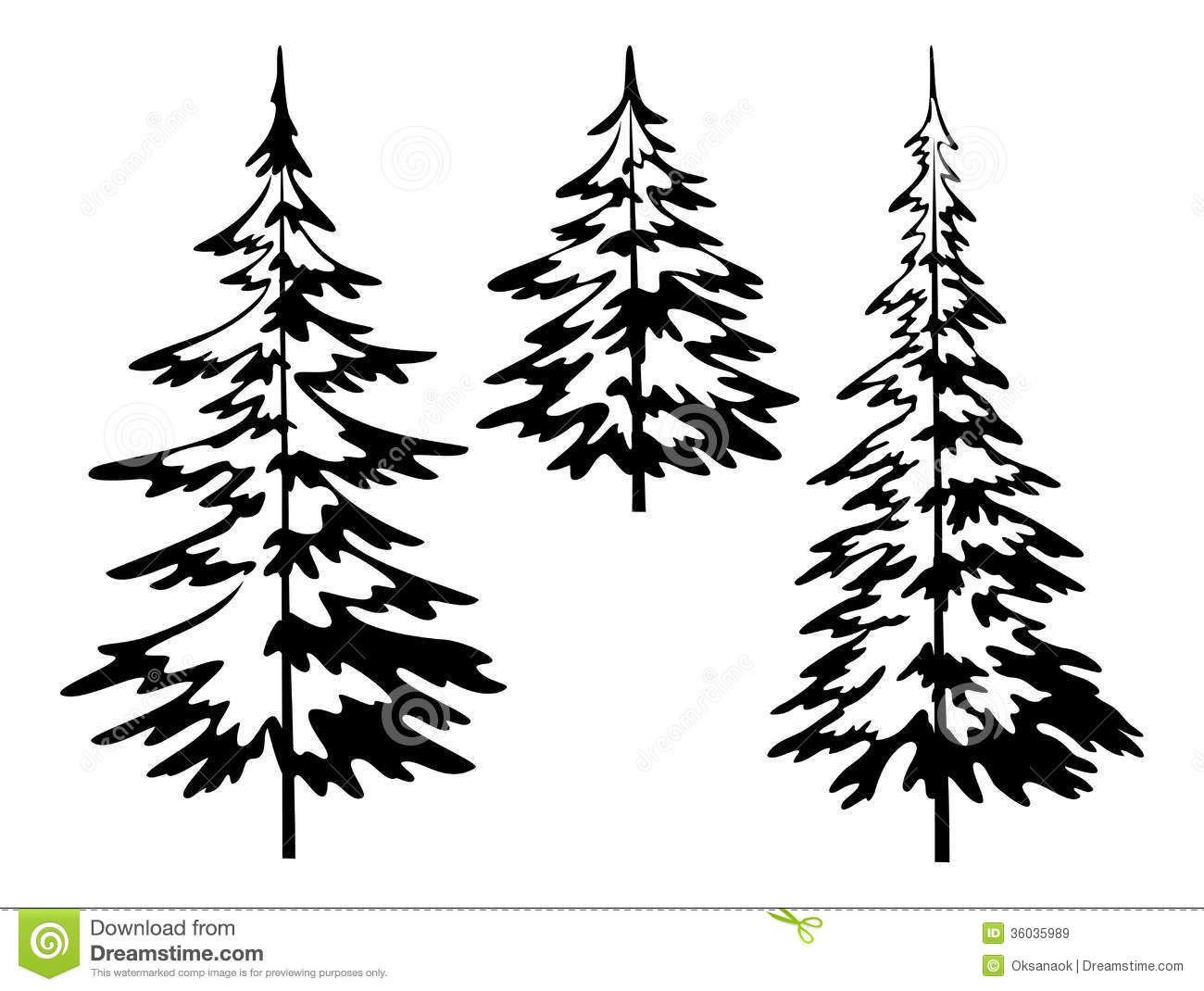 1300x1070 Black And White Pine Tree Outline Sketch Coloring - Pine Tree Line Drawing