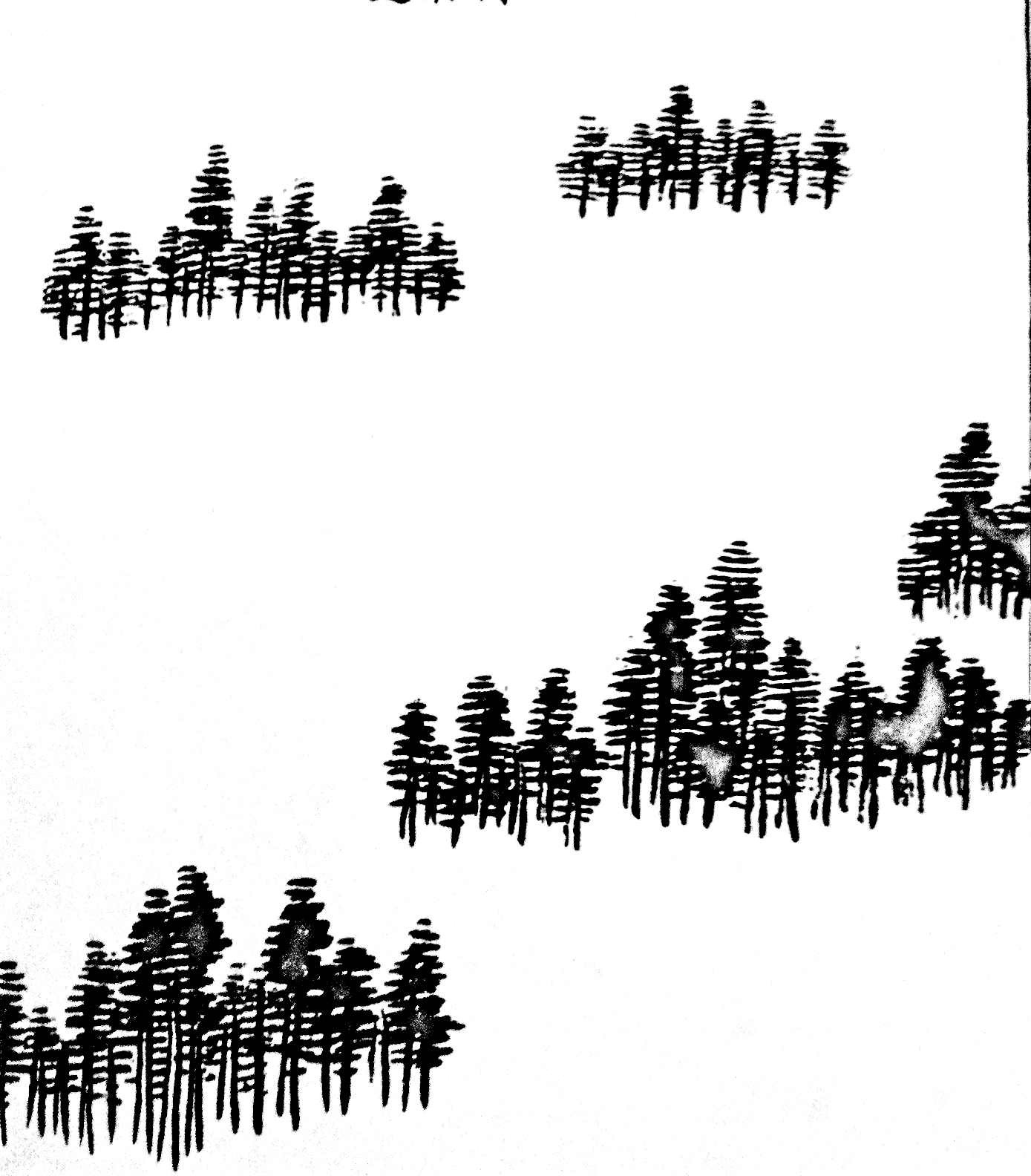 Pine Tree Line Drawing at PaintingValley.com | Explore collection of