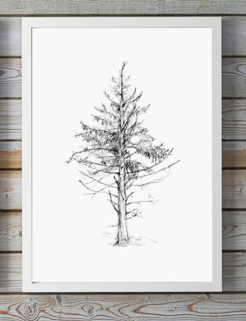 794x1039 pine tree pencil drawing giclee print home decor tree etsy - Pine Tree Pencil Drawing
